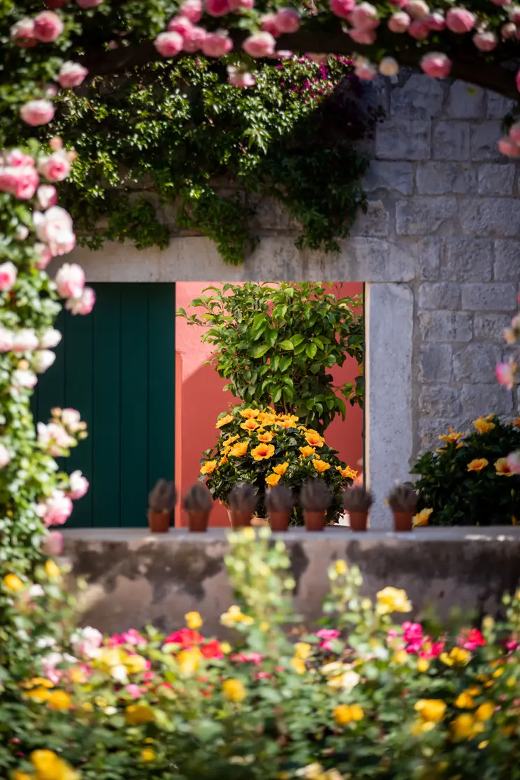 View of the garden